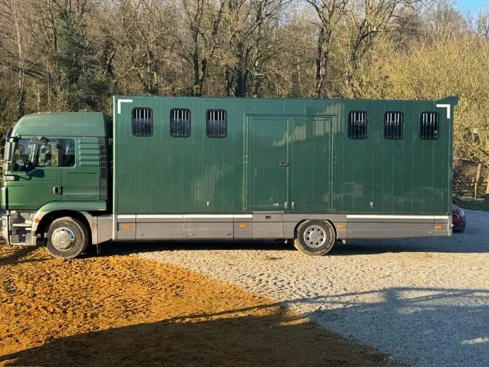 transport camion chevaux