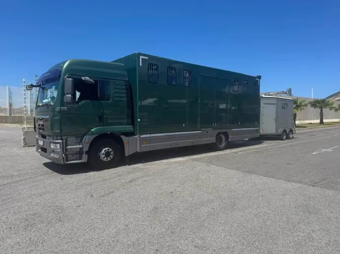 transport camion chevaux