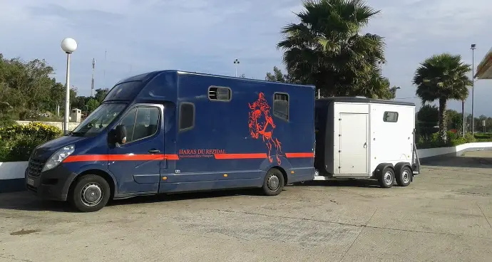 camionnette de chevaux