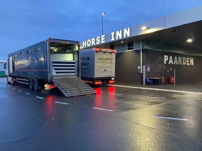 transport aéroport chevaux 